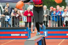 MVH_2024-107
