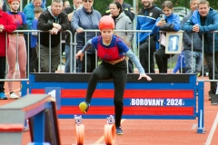 MVH_2024-121