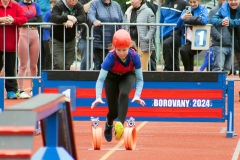 MVH_2024-122