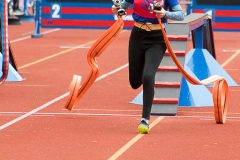 MVH_2024-126