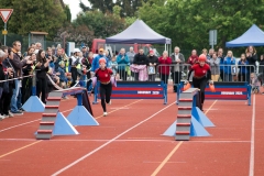 MVH_2024-178