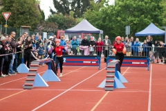 MVH_2024-179