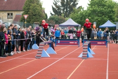 MVH_2024-180
