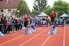 MVH_2024-181