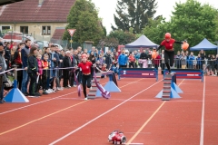 MVH_2024-182