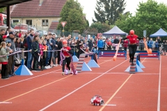 MVH_2024-183