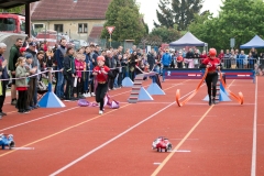 MVH_2024-184
