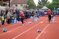 MVH_2024-185