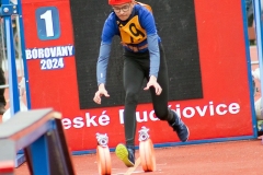 MVH_2024-208