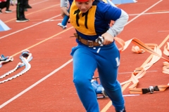 MVH_2024-244