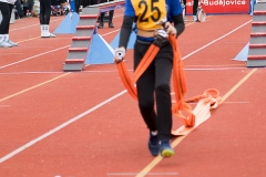 MVH_2024-263