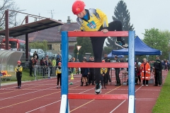 plamen_2022-53
